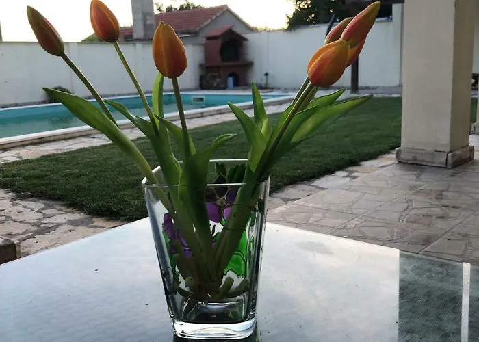 Pistan *