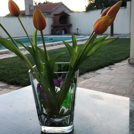 Pistan *